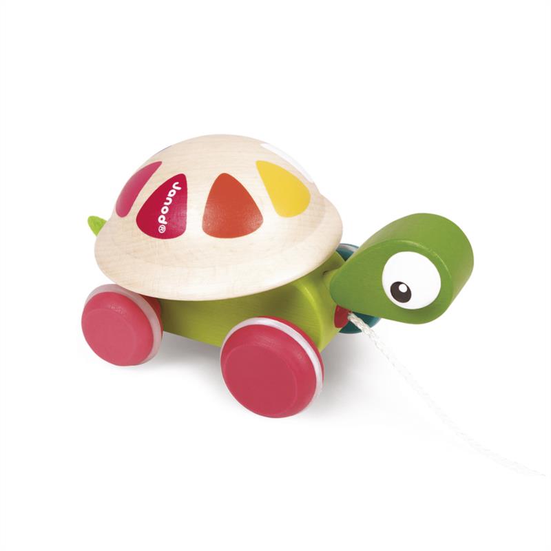 Tortuga de paseo