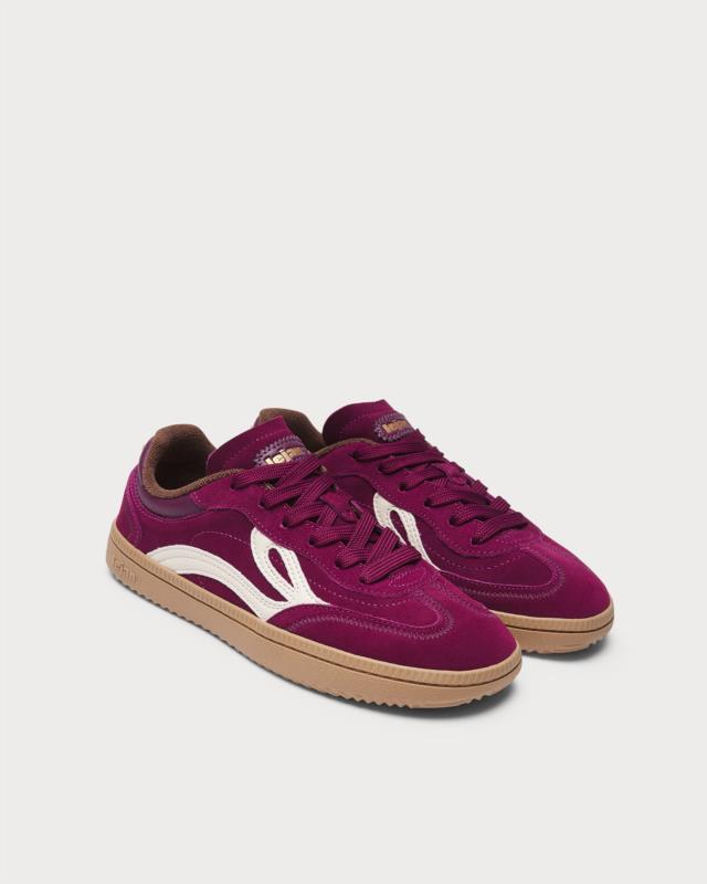 Lejan Adulto Maroon