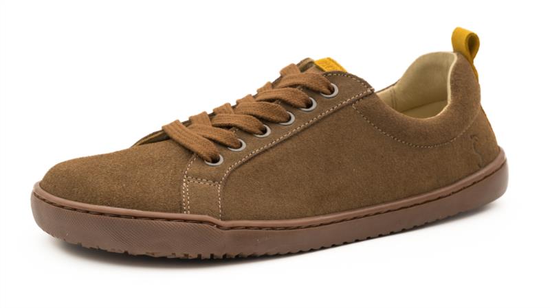 Zapatilla Adulto Dakar Mostaza 